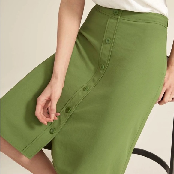 Everlane Japanese GoWeave Button Down Front Swing Skirt - Picture 4 of 11